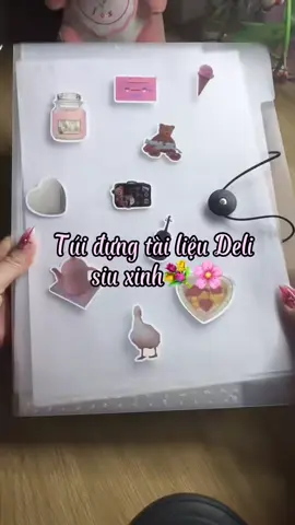 Bà nào mà chưa có túi đựng này thì mua ngay đi#xuhuong#unboxing#dđounghocxinh#dodunghoctap📚  