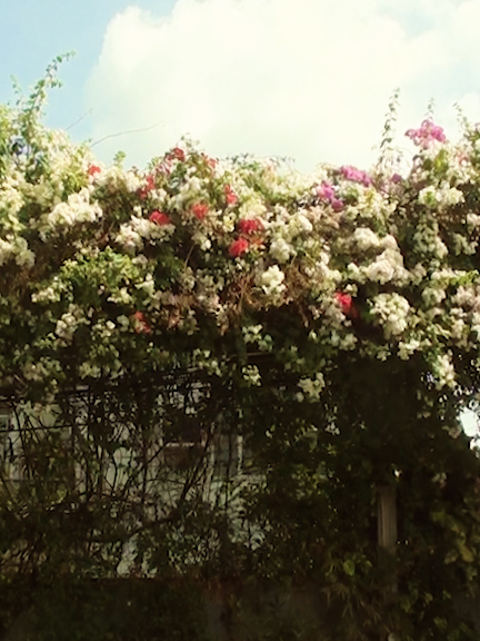 you got it all #yearning #camcorder #pelikula