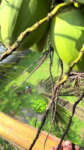 ngapunten bolo bolo ku posisi nembe ten duwur😝