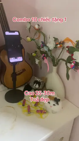 Cao đẹp . Combo 10 chiếc tặng 1 #xuhuongtiktok #xuhuong2026 #hottrend #tet2026 #dochoitet 