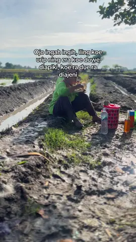 Cekapan mawon pun sae#fyp #petani #petanimuda #nganjuk24jam #jawapride 