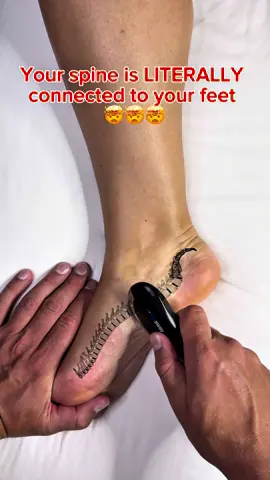 Your spine is LITERALLY connected to your feet — and this is why your back pain won’t go away. Every step you take pulls on the fascia chain that runs from your heel → calf → hamstrings → pelvis → spine → neck. When your foot is tight… your whole spine suffers. This is the release nobody talks about. 👇 #reflexology #plantarfasciitis #plantarfasciitisrelief #footpain 