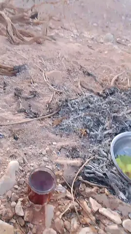 اليل ليل وسيل سيل