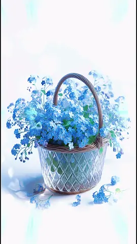 #اصبحنا_واصبح_الملك_للهه #سبحان_الله_وبحمده_سبحان_الله_العظيم #سبحان_الله_وبحمده_عدد_خلقه_ورضا_نفسه #بذكر_الله_تطمئن_القلوب #بذكر_الله_يبتهج_اللسان #اللهم_اغفر_لي_ولوالدي #اللهم_اغفر_لنا_وارحمنا #ان_الصلاة_على_النبي_غنيمةة #اللهم_صلي_على_نبينا_محمد💓🕋📿📿 #صباحكم_أحلى_صباح 🍂 #صباح_الخيرر#صباحيات #اذكار_النوم #صباحات #ان_مع_العسر_يسرا_ان_مع_العسر_يسرا #الم_نشرح_لك_مصدرك #ليلة_الجمعه_اكثرو_من_الصلاة_على_النبي #صباحكم_أحلى_صباح #رسالة_اليوم