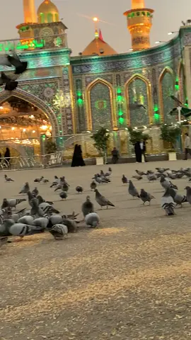 #ياحسين #السلام_عليك_يااباعبد_الله_الحسين_ 