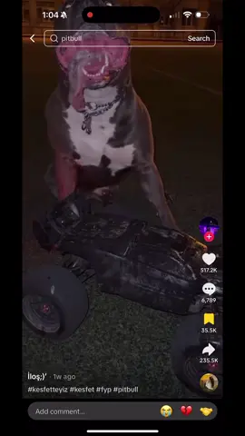 His name is probably Snuggles 💔 VC: @İloş;)’  #yvngcantaloupe 