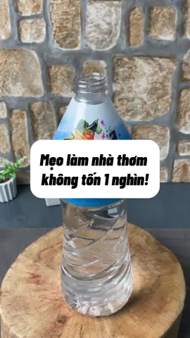 Mẹo làm nhà thơm không tốn 1 nghìn! #phungthihoa #xuhuong #meovat 