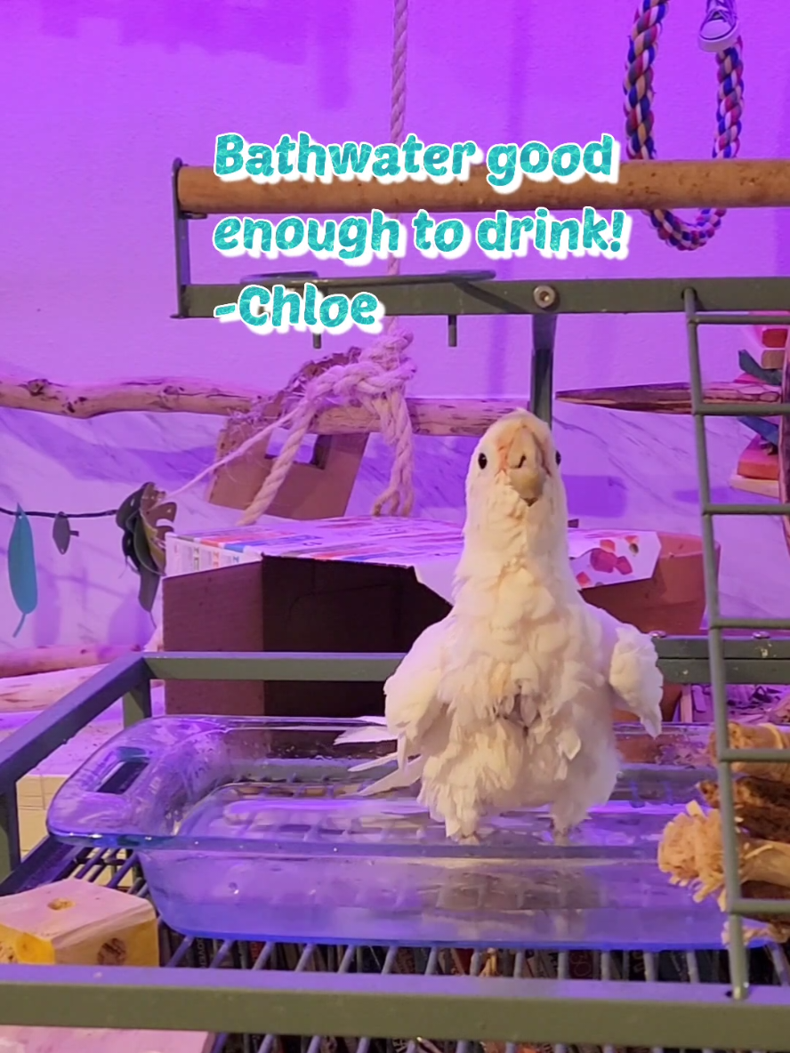 Is this an ad? 😂 #onlyspans