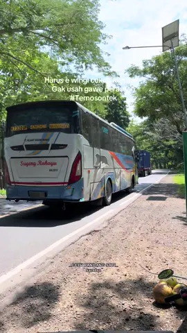 Sak iki asin to 😊#cctvbisjatimrace02 #sugengrahayu #sumbergroup #sumberselamat #lumbalumbadarat🐬BUMI WALI mas @santo libur di bawa Crew lain 