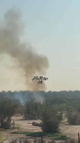 #ويلو #غيرة #راشد_الماجد #الاحساء 