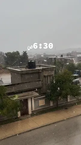 #ساج #الشريف #شحات #مطر 