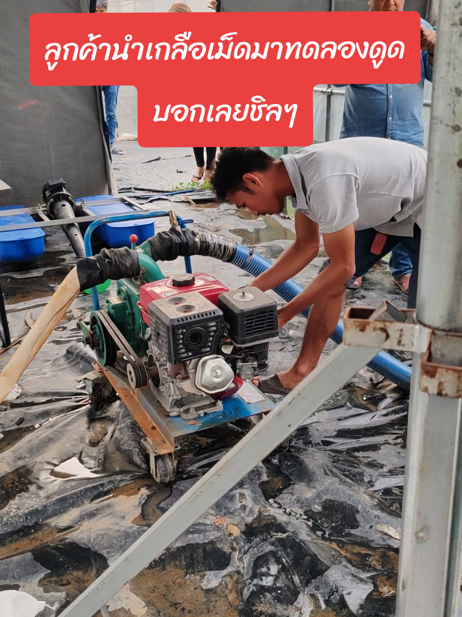 ลูกค้านำเกลือเม็ดมาทดลองให้เครื่องดูดเลนของเราดูด ผลคือ ของกล้วยๆ แปบเดียวหมดเลยจ้า #พร้อมส่ง #เกษตรพลัส #เครื่องดูดเลน #เครื่องดูดโคลน #kasetplus 