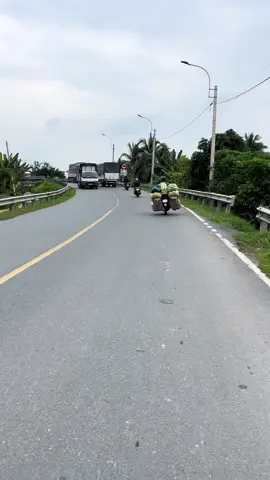 #travinh #84travinh #xuhuong 