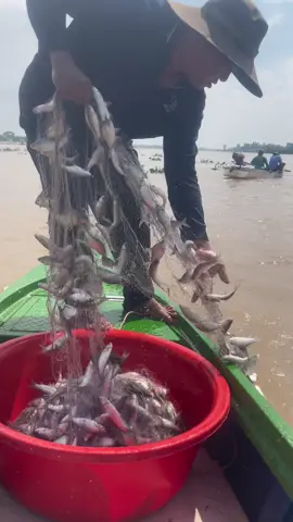 Quê em mùa nước nỗi @@#giai @