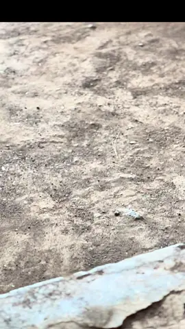 🤕 #ninjass #twostroke #fyp 