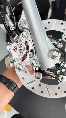 Combo heo Redleo, Dây dầu bấm inox, đĩa RD size 220mm dá hạt dẻ thôi #heoredleo2pis #heoredleobac #diard220mm #diardracingsize220 #daydaubaminox 