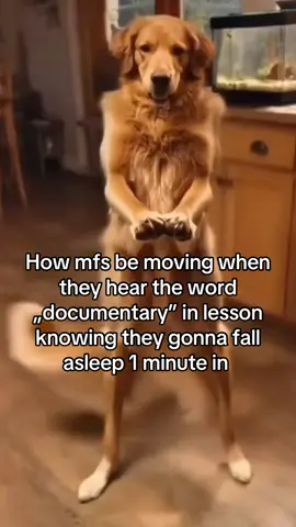 Always the F students aswell #foruyou #fyp #funny #funnytiktok #school 