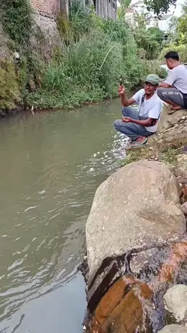 mancing kali ini di bikin puas dah,dengan ikan wader sama nilem Nya masih rakus makan  #microfishingsmi #viralmancing #fishing #sukabumi #fyp 