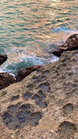 View 🫠 (For Booking Huts In Hawksbay Contact Us On Whatsapp) #beachhouse 