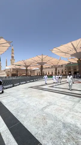 اللهم صل وسلم وبارك وأنعم على نبينا محمد وعلى آله وصحبه أجمعين 🤲🏻🤍. #المسجد_النبوي #المدينه_المنورة 