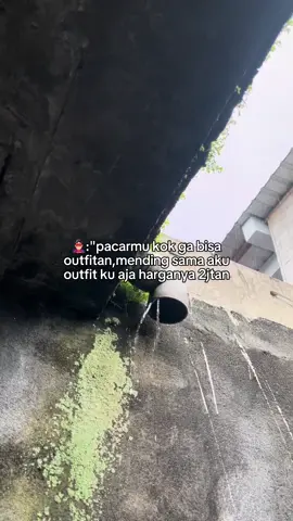 Bahan SW mu bolo 🙏 #fyp #cinematic #kicau #jamtrokmaniaindonesia #kicaumaniaindonesia 