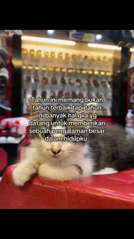 #galaubrutal #sadvibes🥀 #masukberandafyp #fypp #xybca 