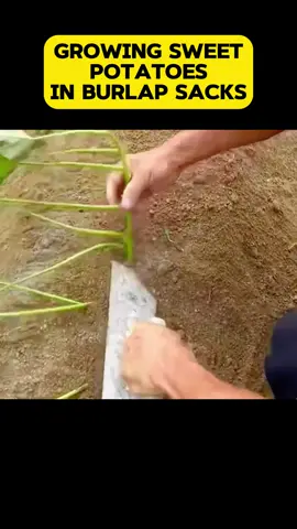 #foryou #DIY #handwork #manufacture #fypシ 