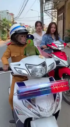 Luật giao thông mới nhất 2026 nè, 