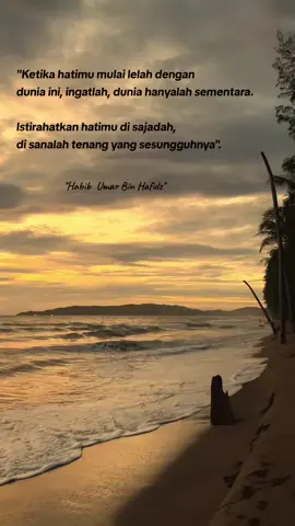 #creatorsearchinsights  #storyislami #fyppppppppppppppppppppppp 