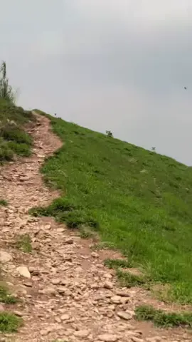 #creatorsearchinsights2025💗💗💕✅✅view #goviralvideo #foryoupage #mytiktokidunfreeze😭😭 #followers➕follower🥺❤️flowed_by_fa 