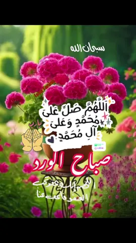 #اللهم_صل_وسلم_وبارك_على_نبينا #سبحان_الله_الحمدلله_لااله_الا_الله #🤲🕋🕋💞🤲🤲🤲 