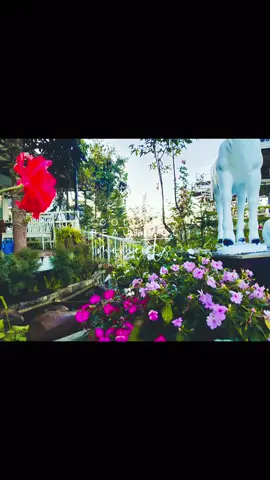 Fairyland khaokho Resort  23/12/2025