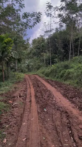 spek lonte kanu kukumaha asup😅#promomakanharian #promomakangajian #sodrekersindonesia #lelakisuci✌️ 