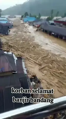 #korban banjir bandang#kucing selamat#galodo #longsor 