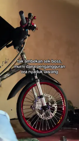 koyo jibex#fizr_2stroke #fizragstyle 