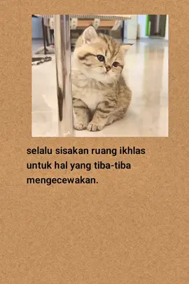 #katakatasedih #katakatabijak #fyp #viral #laguindia 