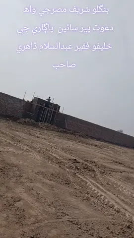 بنگلو شريف مصرجي واھ   دعوت پير سائين  پاڳاري جي  خليفو فقير عبدالسلام ڏاھري  صاحب#followersreelsfypシ゚viralシfypシ゚viralシalシ 