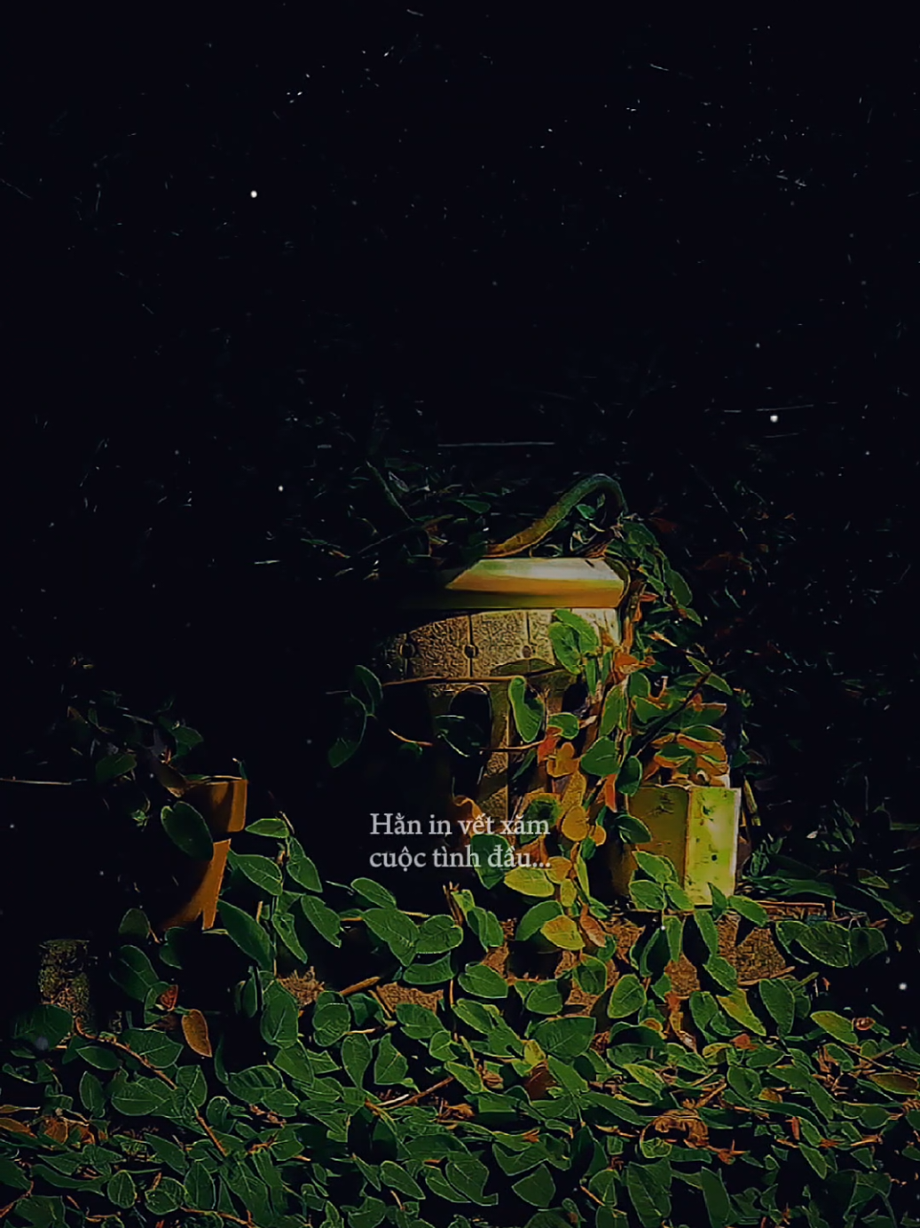 Từng khắc tên nhau vào trong tim... Hằng in vết xăm cuộc tình đầu... [ Phong Sương Tửu  ] #phongsuongtuu #nhacbuontamtrang #tramcamxuc💔 #maucapcut #phonhac 