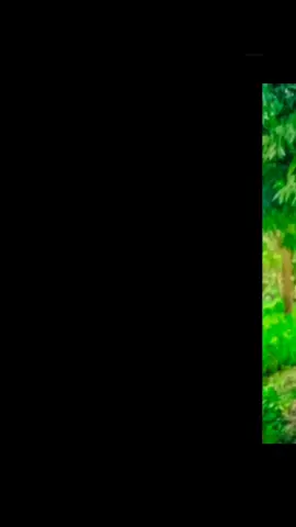 #কমেন্টে_বলে_যাও🤗💖 #আমার_নতুন_আইডি_সবাই_সাপোর্ট_করবেন🙏 