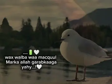 everything 😍  love saar 🔥 🫡  #football #foryou #foryoupage #viral #fyp 