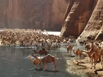 ياعلي ياعلي ، عودك رنان #fyp 