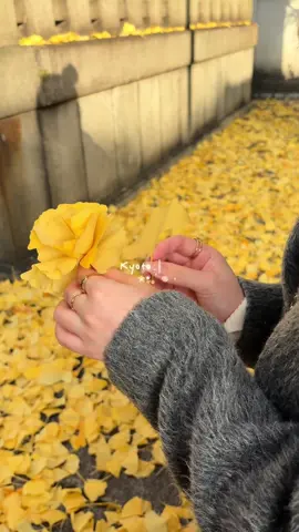 お昼からだけど大満足な1日ᵕᴗᵕ 行きたかったところたくさん行けました🍀 ドーナツ何個食べたんだろう😂 #Vlog #京都 #京都観光 #kyoto #kyototravel 