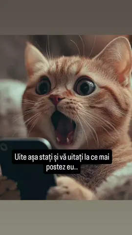 #fyp #bunadimineata #razi #viral #citate 