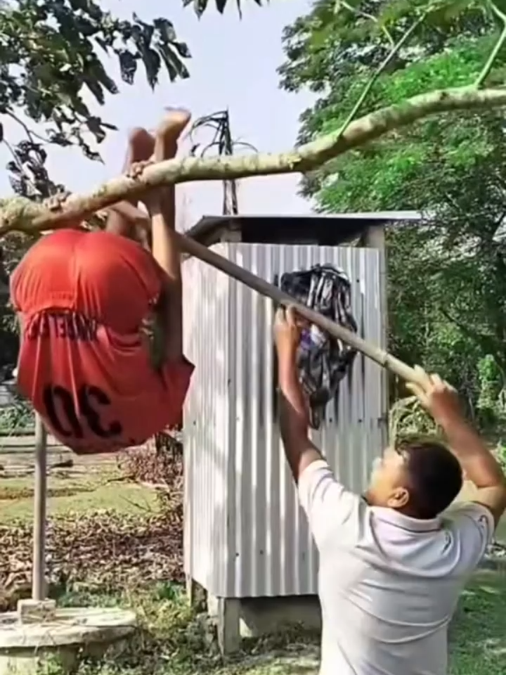 ขึ้นง่าย แต่ลงไม่ง่าย… เพราะเพื่อนนี่แหละตัวป่วน 😂💥 #คลิปฮาๆ #แกล้งเพื่อน #ไวรัลมาแรง #คลิปตลก #funnyvideo #TikTokThailand #ฮาแรงมาก #คลิปไวรัล #ฮาจนท้องแข็ง #ไวรัลฮาๆ #ขำกลิ้ง #พลังบวก #คลิปขำขัน #ตลกไทยแลนด์ #คนจริง2025 #ฮาไม่หยุด #เพื่อนซี้ตัวแสบ #แกล้งสนุก #คลิปสนุก #ForYou