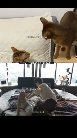 SERU SEKALIIII SATU KELUARGA, PENGEN BANGET GABUNG  #tianxuning  #tianziyu  #ziyu 