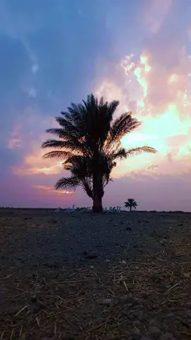 @ابراهيم سعد⭐⚖️ @حسن الريحاني 🌹 #CapCut 