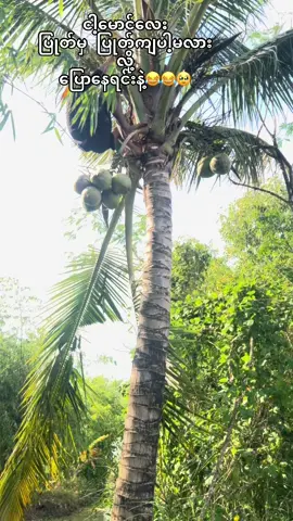 သနားလည်းသနား😂😂ရယ်လည်းရယ်ရ😆#fyp 