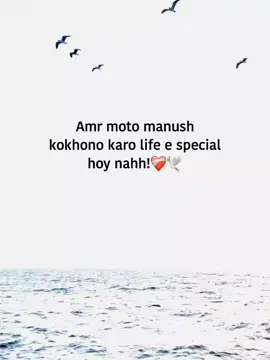 Amr moto manush kokhono karo life e special hoy nahh!❤️‍🩹🕊️#fypシ゚ #foryoupage #1billionauidition #tiktokbangladesh #your_likhon3 