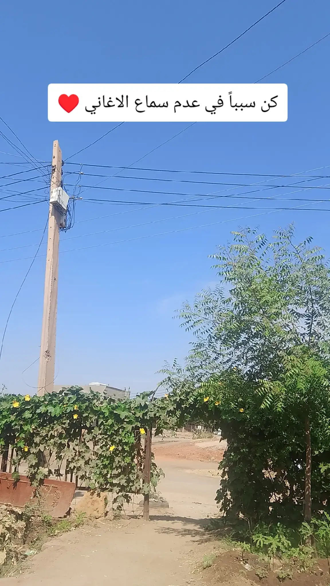 #راحه_نفسيه #شيخ_نورين_محمد_صديق #كن_سبباً_عدم_سماع_الاغاني #اكسبلور_متابعه_ولايك #سودانيز_تيك_توك_مشاهير_السودان🇸🇩 