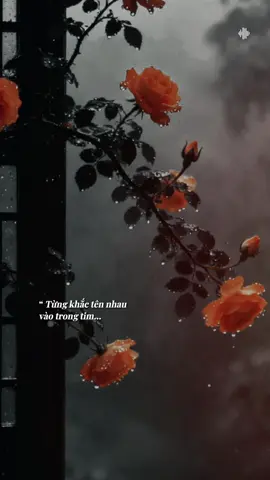 Từng khắc tên nhau vào trong tim… #tramnhacbuon_07 #BKmuzic  #teddyentertainment 